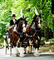 Arclid Carriage Company