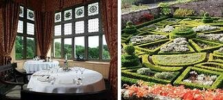 garden and dining room