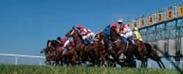 Brighton Racecourse and Conference Centre
