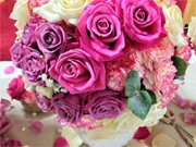 David James Floristry