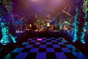 dance floor