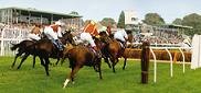 Hereford Racecourse