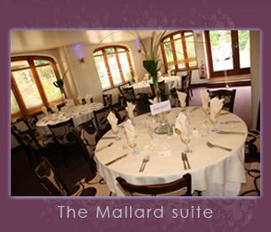 mallard suite