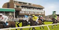 Sedgefield Racecourse