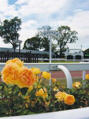 Uttoxeter Racecourse