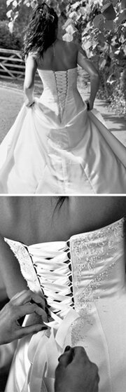 Wild Orchid Photography