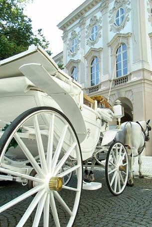 carriage
